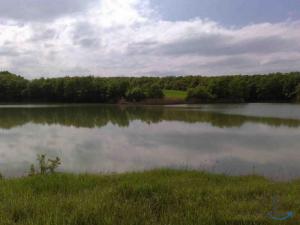 Земельный участок 9 Га. возле Озера, Леса и Гор. в Северской