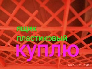 Куплю ящик овощной (фруктовый) пластиковый. в Рязани