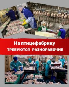 Разнорабочий (упаковщик) вахта в Йошкар-Оле