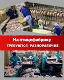 Разнорабочий (упаковщик) вахта в Йошкар-Оле