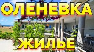 Оленевка Крым жилье у моря снять в Черноморском